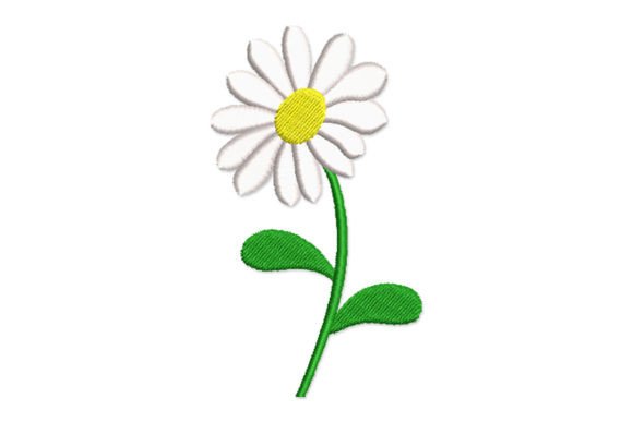 Daisy Flower Review