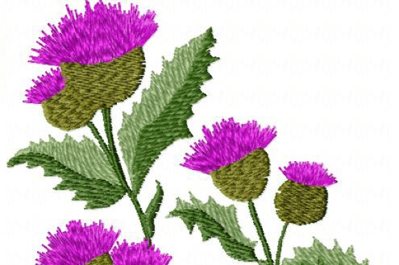 Wildflowers